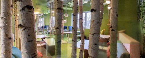 La natura entra negli spazi lavorativi: dialogo fra Architettura, Feng Shui e Neuroscienze